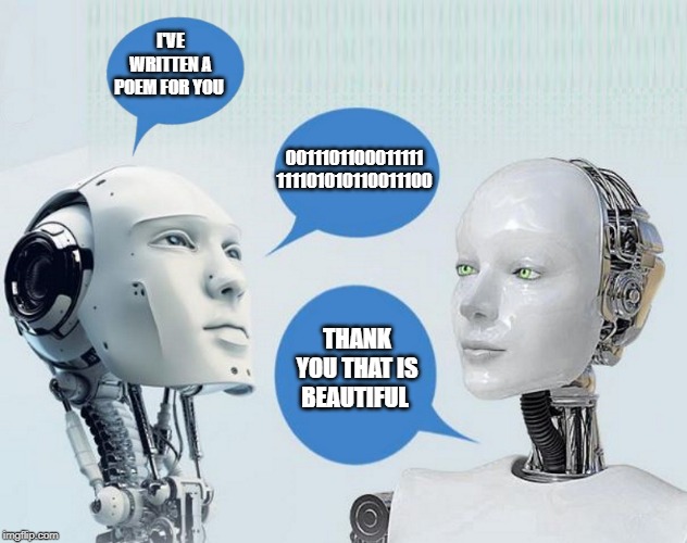 Rhyming robots | I'VE WRITTEN A POEM FOR YOU; 0011101100011111
111101010110011100; THANK YOU THAT IS BEAUTIFUL | image tagged in poem,robots,kewlew | made w/ Imgflip meme maker