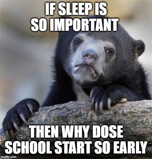 Confession Bear Meme | IF SLEEP IS SO IMPORTANT; THEN WHY DOSE SCHOOL START SO EARLY | image tagged in memes,confession bear | made w/ Imgflip meme maker