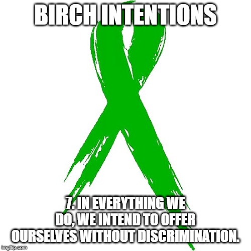 BIRCH INTENTIONS; 7. IN EVERYTHING WE DO, WE INTEND TO OFFER OURSELVES WITHOUT DISCRIMINATION. | image tagged in birch tree,birch intentions,birchtree,mental health,mental illness,schizophrenia | made w/ Imgflip meme maker