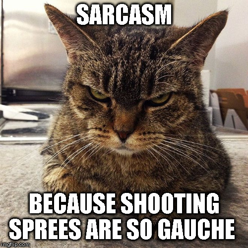 Sarcasm Cat | SARCASM; BECAUSE SHOOTING SPREES ARE SO GAUCHE | image tagged in cat,sarcasm | made w/ Imgflip meme maker
