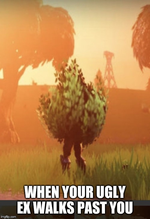 Fortnite bush | WHEN YOUR UGLY EX WALKS PAST YOU | image tagged in fortnite bush | made w/ Imgflip meme maker