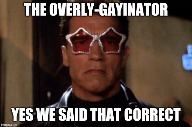 Terminator sunglasses | THE OVERLY-GAYINATOR; YES WE SAID THAT CORRECT | image tagged in terminator sunglasses | made w/ Imgflip meme maker