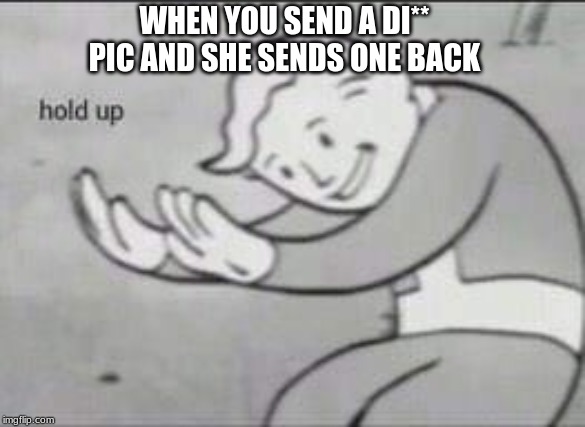 Fallout Hold Up | WHEN YOU SEND A DI** PIC AND SHE SENDS ONE BACK | image tagged in fallout hold up | made w/ Imgflip meme maker