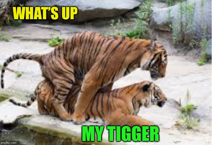 WHAT’S UP MY TIGGER | made w/ Imgflip meme maker