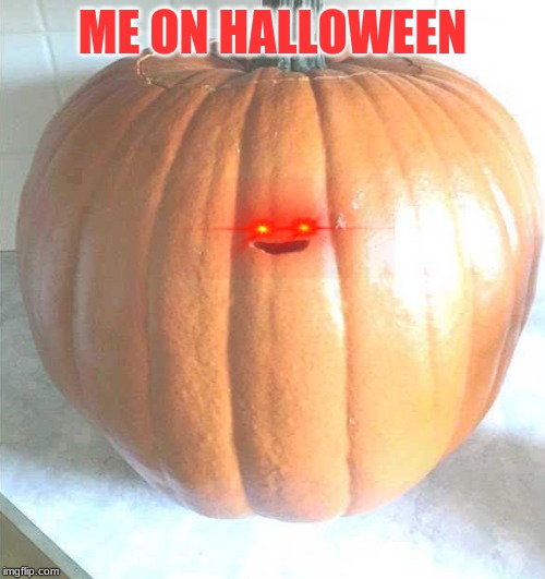 pumpkin boi | ME ON HALLOWEEN | image tagged in pumpkin boi | made w/ Imgflip meme maker