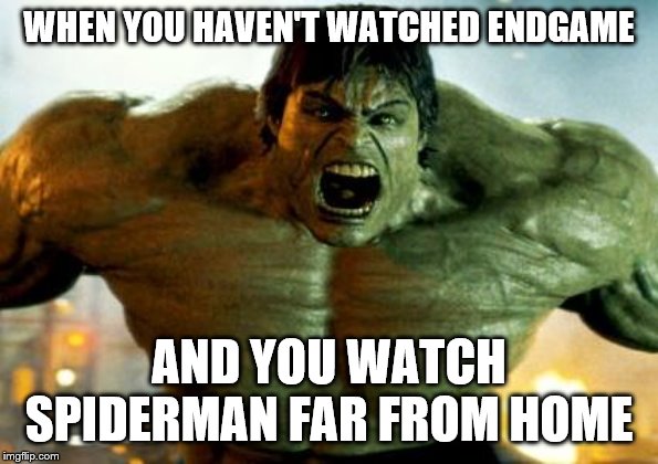 hulk | WHEN YOU HAVEN'T WATCHED ENDGAME; AND YOU WATCH SPIDERMAN FAR FROM HOME | image tagged in hulk | made w/ Imgflip meme maker