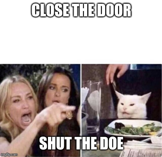 Real housewives screaming cat | CLOSE THE DOOR; SHUT THE DOE | image tagged in real housewives screaming cat | made w/ Imgflip meme maker