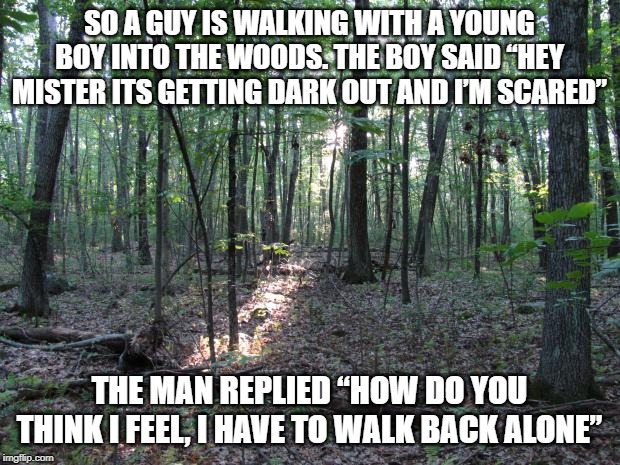 Not Coming Back... | SO A GUY IS WALKING WITH A YOUNG BOY INTO THE WOODS. THE BOY SAID “HEY MISTER ITS GETTING DARK OUT AND I’M SCARED”; THE MAN REPLIED “HOW DO YOU THINK I FEEL, I HAVE TO WALK BACK ALONE” | image tagged in woods | made w/ Imgflip meme maker