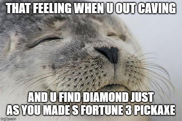 Satisfied Seal | THAT FEELING WHEN U OUT CAVING; AND U FIND DIAMOND JUST AS YOU MADE S FORTUNE 3 PICKAXE | image tagged in memes,satisfied seal | made w/ Imgflip meme maker