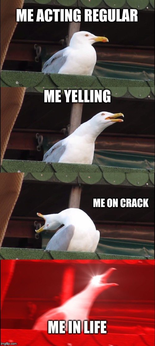 Inhaling Seagull Meme | ME ACTING REGULAR; ME YELLING; ME ON CRACK; ME IN LIFE | image tagged in memes,inhaling seagull | made w/ Imgflip meme maker