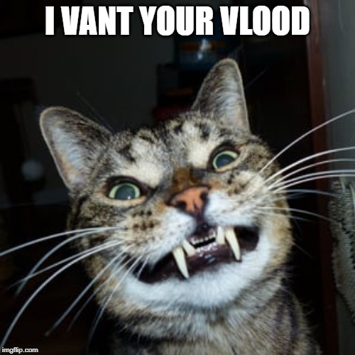 Count Catula | I VANT YOUR VLOOD | image tagged in funny cat | made w/ Imgflip meme maker