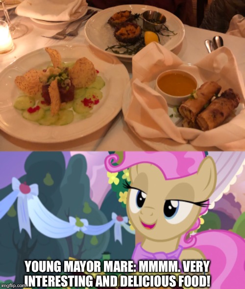 Young Mayor mare tries the Italian foods | YOUNG MAYOR MARE: MMMM. VERY INTERESTING AND DELICIOUS FOOD! | image tagged in mlp fim,food,restaurant | made w/ Imgflip meme maker