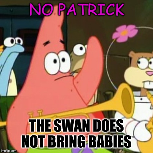 No Patrick | NO PATRICK; THE SWAN DOES NOT BRING BABIES | image tagged in memes,no patrick | made w/ Imgflip meme maker