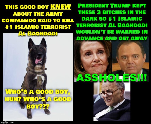 It's a sad testament when a Military service dog is more loyal to our country than our governments own Democrat lawmakers. | image tagged in politics,democrats,political,al baghdadi | made w/ Imgflip meme maker