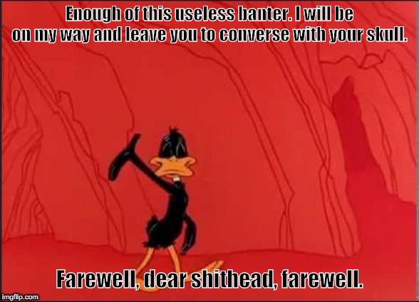 Daffy Duck | Enough of this useless banter. I will be on my way and leave you to converse with your skull. Farewell, dear shithead, farewell. | image tagged in daffy duck | made w/ Imgflip meme maker