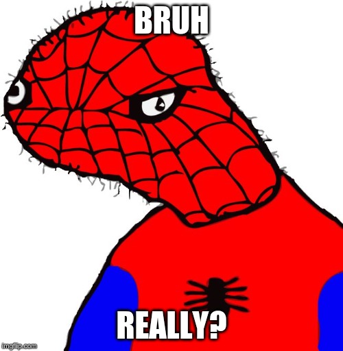 Spoder man | BRUH; REALLY? | image tagged in spoder man | made w/ Imgflip meme maker