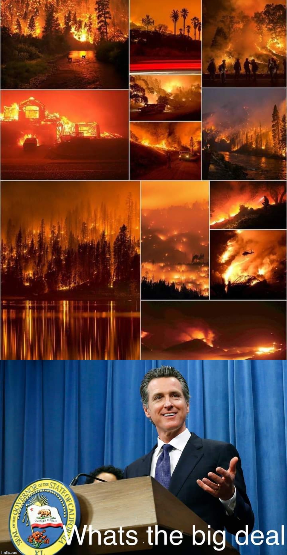 We're from the government. We're here to help. | WHAT'S  THE BIG DEAL | image tagged in memes,politics,california,fire,government | made w/ Imgflip meme maker