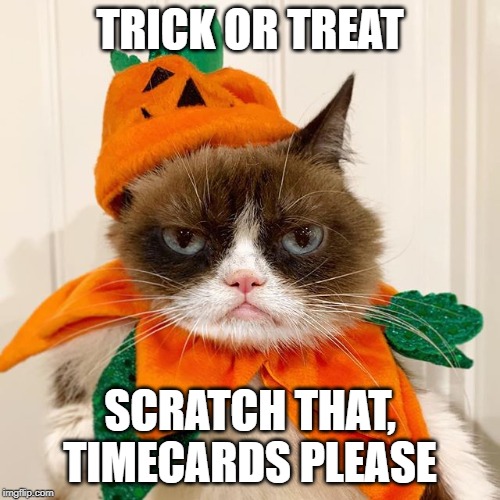 Grumpy Cat Halloween | TRICK OR TREAT; SCRATCH THAT, TIMECARDS PLEASE | image tagged in grumpy cat halloween | made w/ Imgflip meme maker