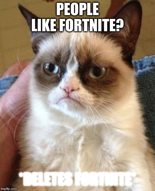 Grumpy Cat | PEOPLE LIKE FORTNITE? *DELETES FORTNITE* | image tagged in memes,grumpy cat | made w/ Imgflip meme maker