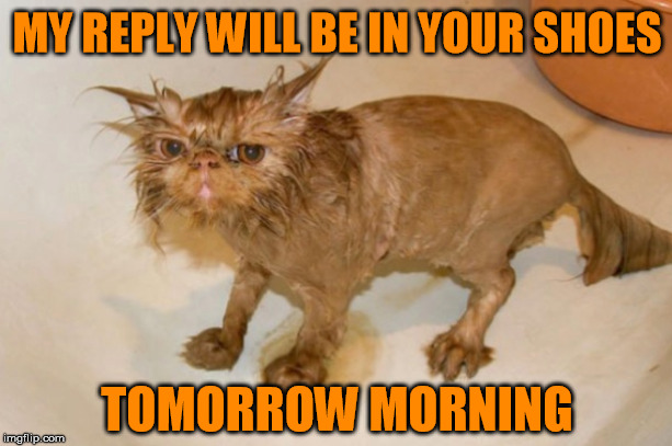 MY REPLY WILL BE IN YOUR SHOES TOMORROW MORNING | made w/ Imgflip meme maker