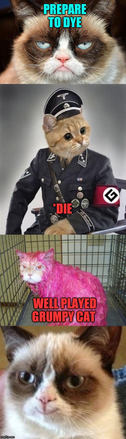 Grumpy Cats Revenge ฅ^•ﻌ•^ฅ | PREPARE TO DYE; *DIE; WELL PLAYED GRUMPY CAT | image tagged in grumpy,grammar nazi,cats,just a silly joke | made w/ Imgflip meme maker