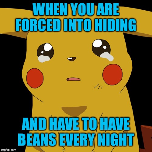 pokemon | WHEN YOU ARE FORCED INTO HIDING; AND HAVE TO HAVE BEANS EVERY NIGHT | image tagged in pokemon | made w/ Imgflip meme maker