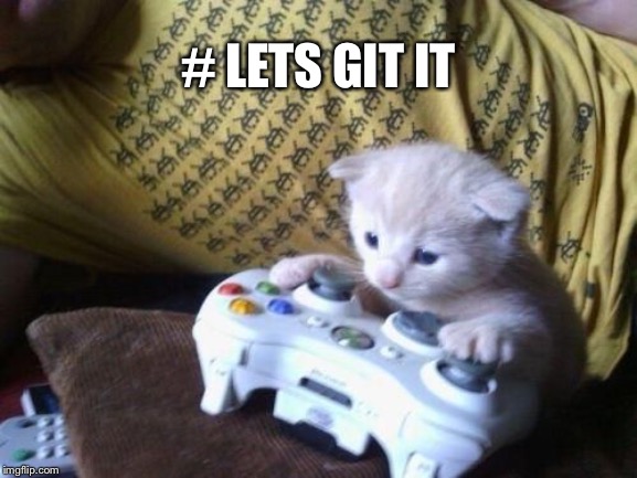 cat on xbox | # LETS GIT IT | image tagged in cat on xbox | made w/ Imgflip meme maker