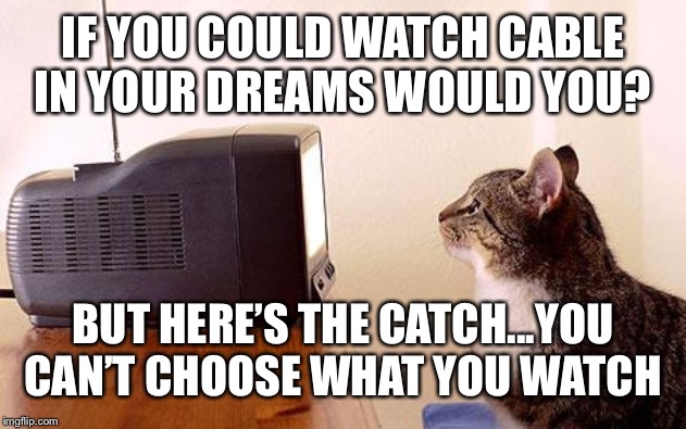 cat watching tv | IF YOU COULD WATCH CABLE IN YOUR DREAMS WOULD YOU? BUT HERE’S THE CATCH...YOU CAN’T CHOOSE WHAT YOU WATCH | image tagged in cat watching tv,cable tv,dreaming | made w/ Imgflip meme maker