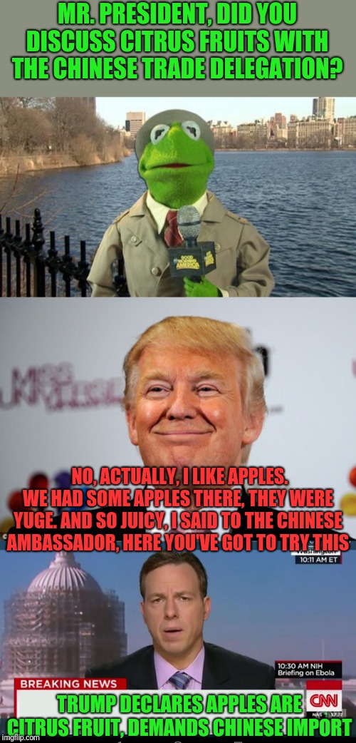 Apples and Oranges | MR. PRESIDENT, DID YOU DISCUSS CITRUS FRUITS WITH THE CHINESE TRADE DELEGATION? NO, ACTUALLY, I LIKE APPLES. WE HAD SOME APPLES THERE, THEY WERE YUGE. AND SO JUICY, I SAID TO THE CHINESE AMBASSADOR, HERE YOU'VE GOT TO TRY THIS; TRUMP DECLARES APPLES ARE CITRUS FRUIT, DEMANDS CHINESE IMPORT | image tagged in kermit news report,donald trump approves,cnn breaking news template,the media,is lying,to you | made w/ Imgflip meme maker