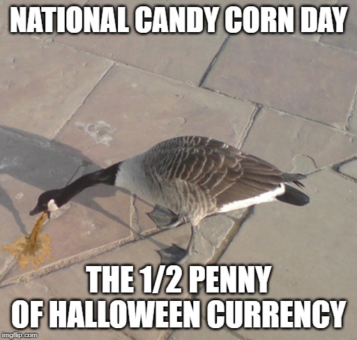 vomiting duck | NATIONAL CANDY CORN DAY; THE 1/2 PENNY OF HALLOWEEN CURRENCY | image tagged in vomiting duck | made w/ Imgflip meme maker