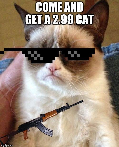 Grumpy Cat Meme | COME AND GET A 2.99 CAT | image tagged in memes,grumpy cat | made w/ Imgflip meme maker
