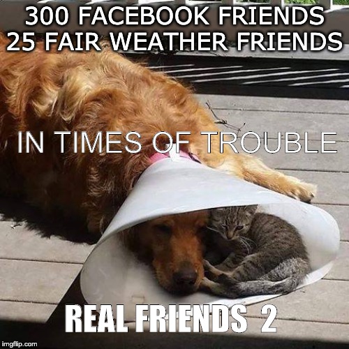 True Friendship | 300 FACEBOOK FRIENDS
25 FAIR WEATHER FRIENDS; IN TIMES OF TROUBLE; REAL FRIENDS  2 | image tagged in true friendship | made w/ Imgflip meme maker