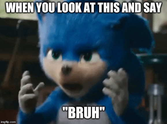 Sonic's Bruh | WHEN YOU LOOK AT THIS AND SAY; "BRUH" | image tagged in sonic's bruh | made w/ Imgflip meme maker
