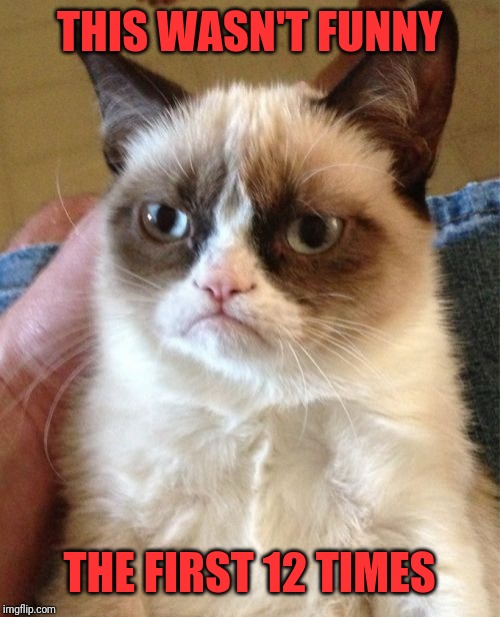 Grumpy Cat Meme | THIS WASN'T FUNNY THE FIRST 12 TIMES | image tagged in memes,grumpy cat | made w/ Imgflip meme maker