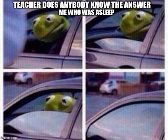 Kermit rolls up window | TEACHER DOES ANYBODY KNOW THE ANSWER; ME WHO WAS ASLEEP | image tagged in kermit rolls up window | made w/ Imgflip meme maker