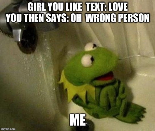 Kermit on Shower | GIRL YOU LIKE  TEXT: LOVE YOU THEN SAYS: OH  WRONG PERSON; ME | image tagged in kermit on shower | made w/ Imgflip meme maker