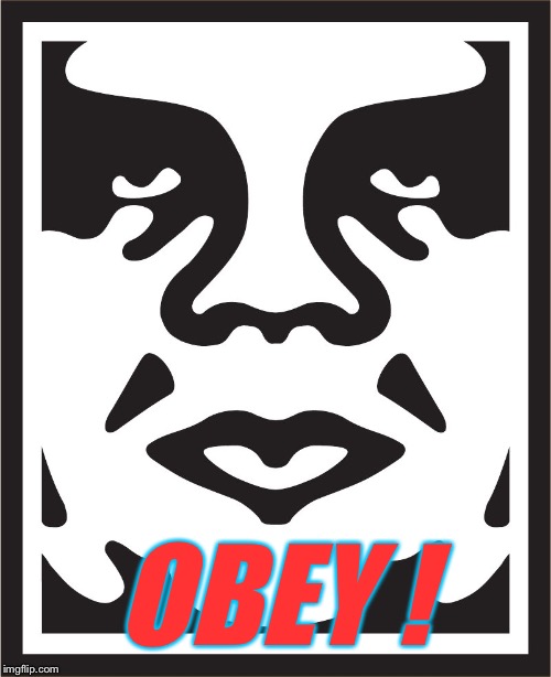 OBEY | OBEY ! | image tagged in obey | made w/ Imgflip meme maker