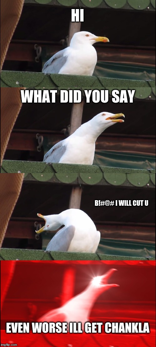 Inhaling Seagull Meme | HI; WHAT DID YOU SAY; B!#@# I WILL CUT U; EVEN WORSE ILL GET CHANKLA | image tagged in memes,inhaling seagull | made w/ Imgflip meme maker