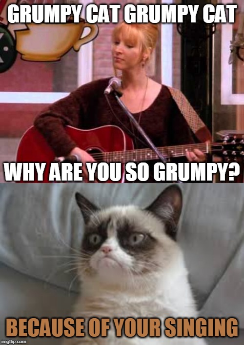 SMELLY CAT | GRUMPY CAT GRUMPY CAT; WHY ARE YOU SO GRUMPY? BECAUSE OF YOUR SINGING | image tagged in grumpy cat,friends | made w/ Imgflip meme maker