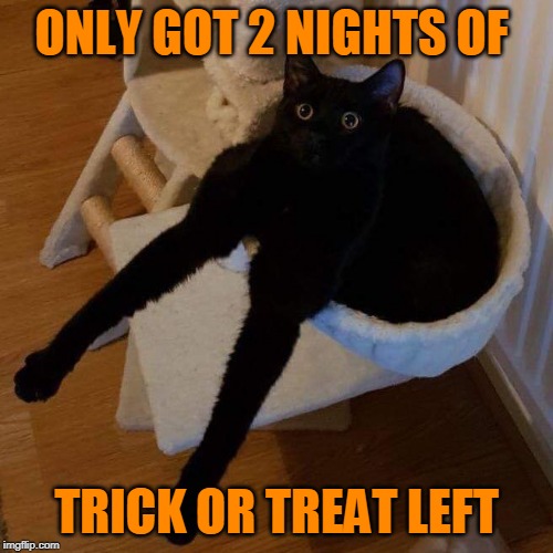 LAST CHANCE FOR CANDY | ONLY GOT 2 NIGHTS OF; TRICK OR TREAT LEFT | image tagged in halloween,funny cats,cats | made w/ Imgflip meme maker