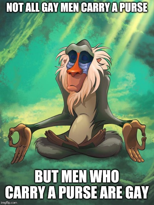 Rafiki wisdom | NOT ALL GAY MEN CARRY A PURSE; BUT MEN WHO CARRY A PURSE ARE GAY | image tagged in rafiki wisdom | made w/ Imgflip meme maker