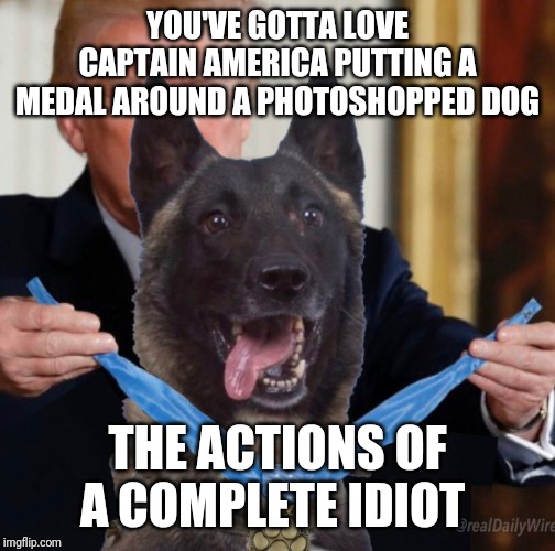 Creepy Drumpf | YOU'VE GOTTA LOVE CAPTAIN AMERICA PUTTING A MEDAL AROUND A PHOTOSHOPPED DOG; THE ACTIONS OF A COMPLETE IDIOT | image tagged in memes,batman slapping robin,political,impeach trump | made w/ Imgflip meme maker