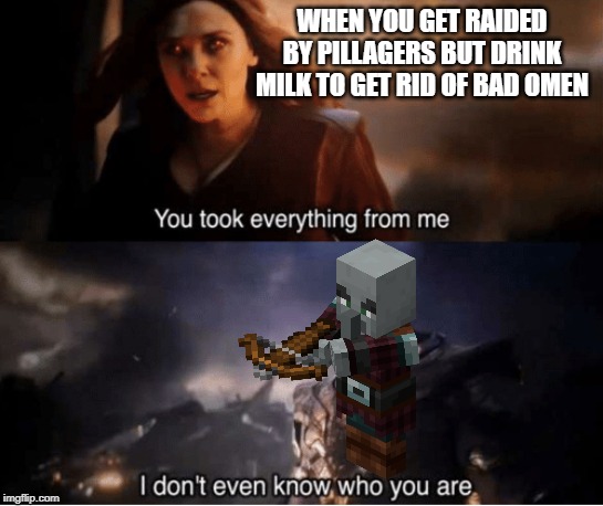 Village raids be like | WHEN YOU GET RAIDED BY PILLAGERS BUT DRINK MILK TO GET RID OF BAD OMEN | image tagged in you took everything from me | made w/ Imgflip meme maker