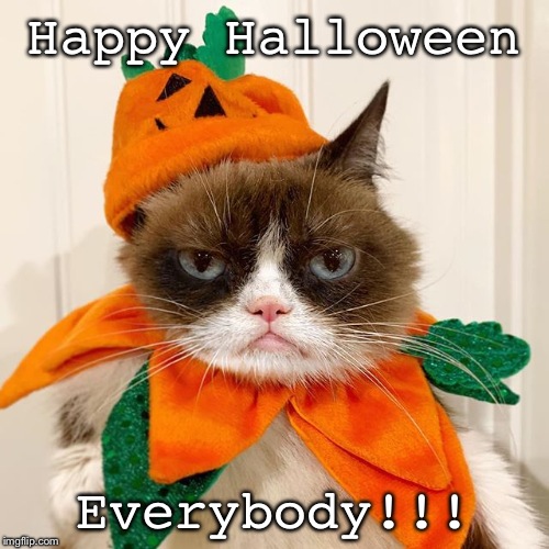 Grumpy Cat Halloween | Happy Halloween; Everybody!!! | image tagged in grumpy cat halloween | made w/ Imgflip meme maker