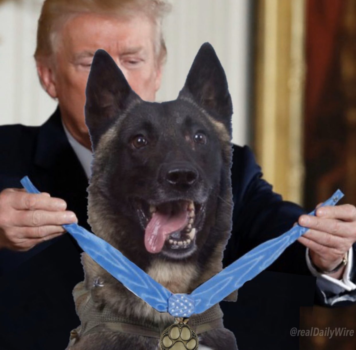 Trump Dog Award Blank Meme Template