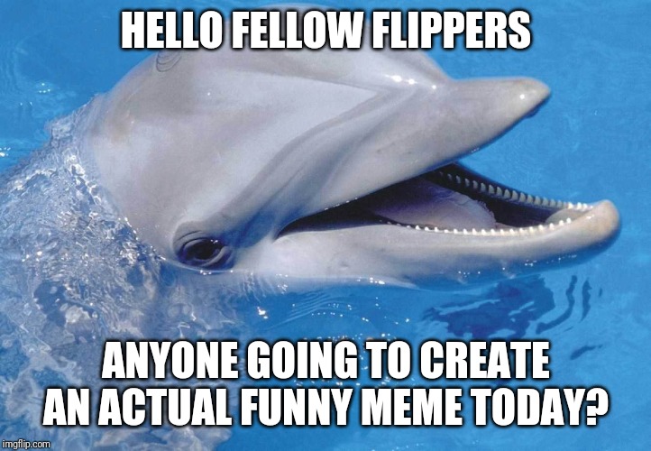 Flipper | HELLO FELLOW FLIPPERS; ANYONE GOING TO CREATE AN ACTUAL FUNNY MEME TODAY? | image tagged in flipper | made w/ Imgflip meme maker