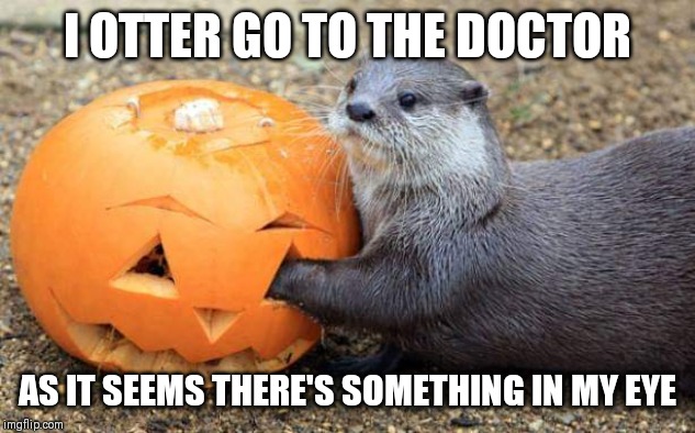 I OTTER GO TO THE DOCTOR; AS IT SEEMS THERE'S SOMETHING IN MY EYE | image tagged in otter | made w/ Imgflip meme maker