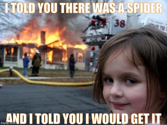 Disaster Girl | I TOLD YOU THERE WAS A SPIDER; AND I TOLD YOU I WOULD GET IT | image tagged in memes,disaster girl | made w/ Imgflip meme maker