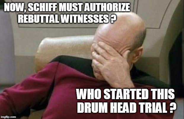 Democrat Impeachment Rules! | NOW, SCHIFF MUST AUTHORIZE
REBUTTAL WITNESSES ? WHO STARTED THIS 
DRUM HEAD TRIAL ? | image tagged in democratic party,liberal hypocrisy,trump impeachment,stupid liberals,liberal logic | made w/ Imgflip meme maker