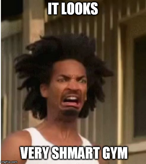 IT LOOKS VERY SHMART GYM | made w/ Imgflip meme maker